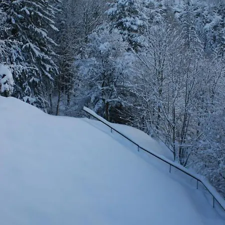 Weiss, Sandra Weiss *