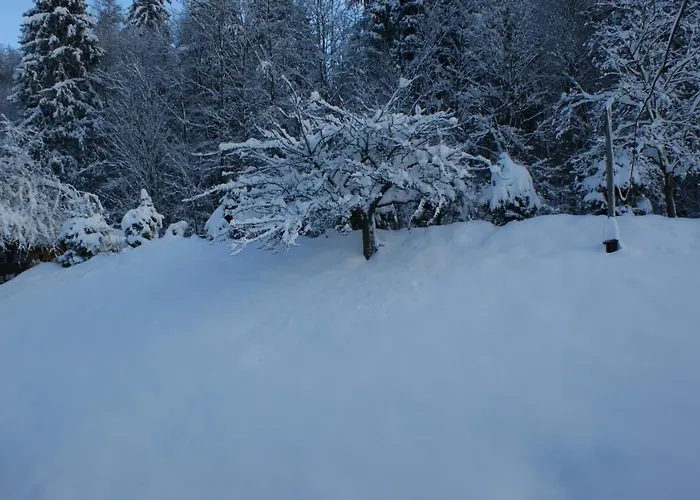 Weiss, Sandra Weiss Appartamento