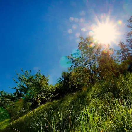 Weiss, Sandra Weiss *