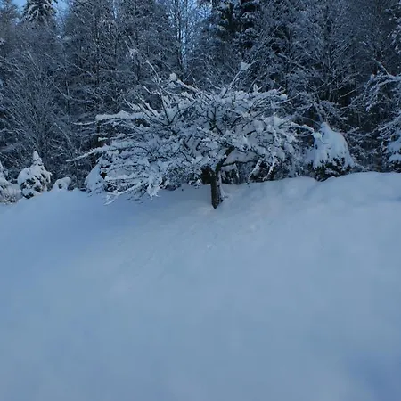 Weiss, Sandra Weiss Διαμέρισμα