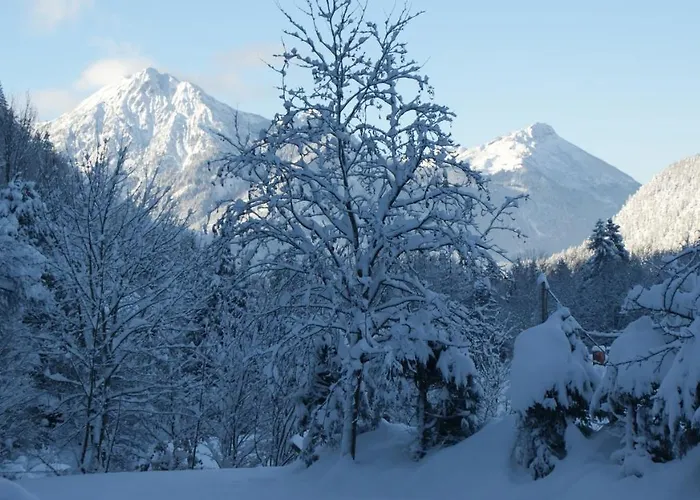 Apartment Weiss, Sandra Weiss