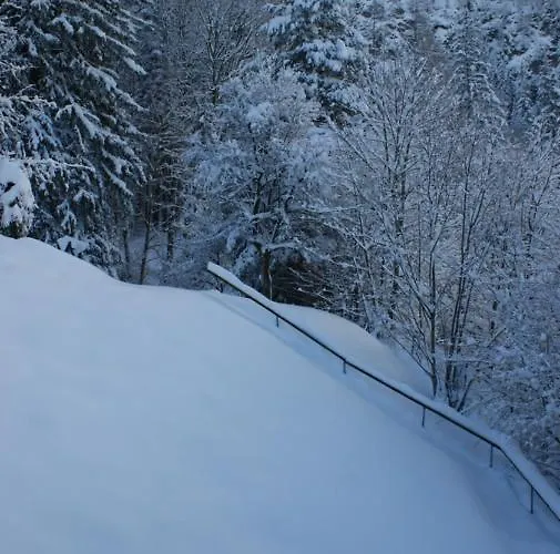 Weiss, Sandra Weiss *