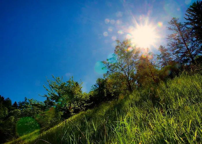 Weiss, Sandra Weiss *